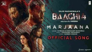 Marjaana Lyrics in Hindi