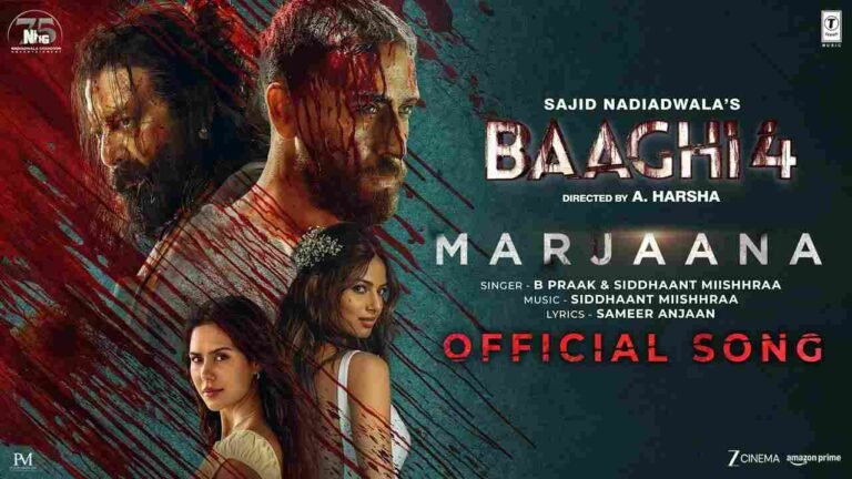 Marjaana Lyrics in Hindi