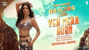 Yeh Mera Husn Lyrics in Hindi
