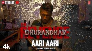 Aari Aari Lyrics in Hindi